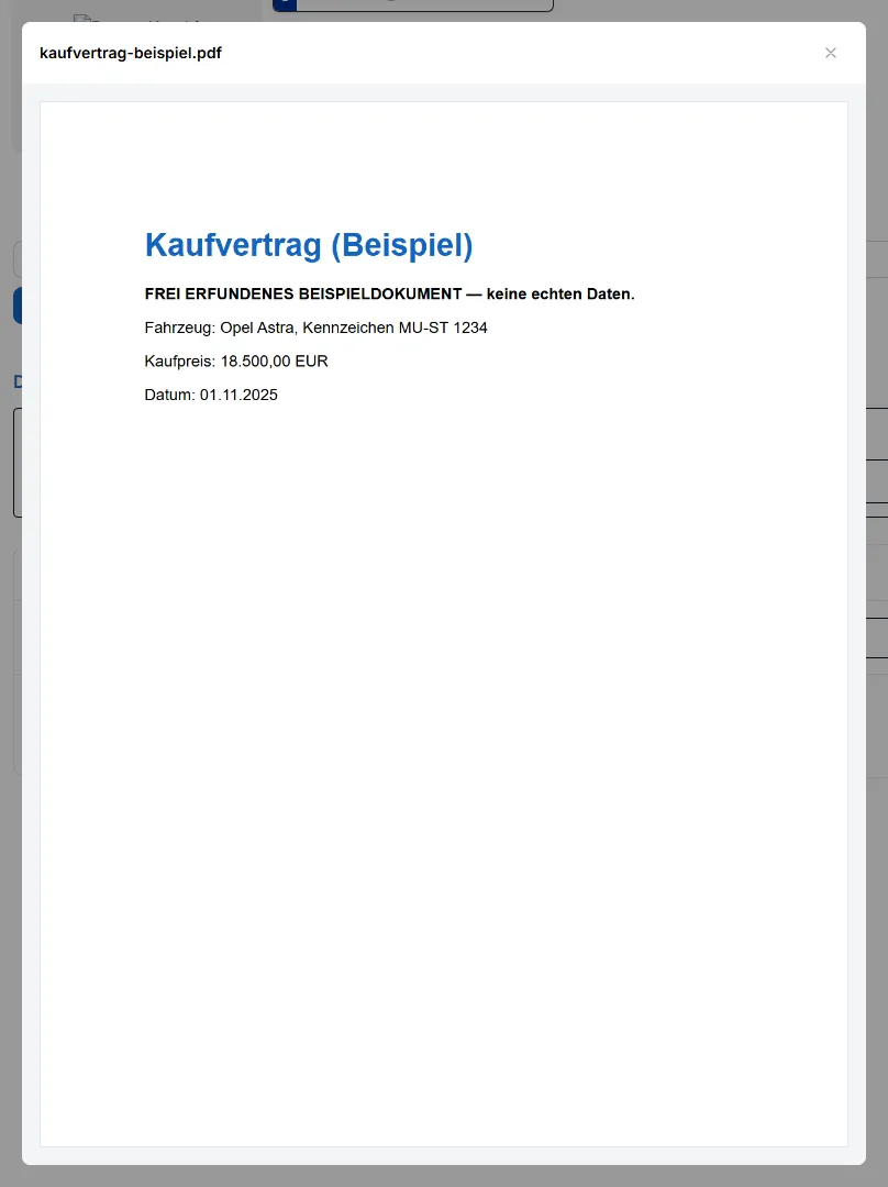 Vorschau-Fenster mit geöffnetem PDF-Dokument innerhalb der App